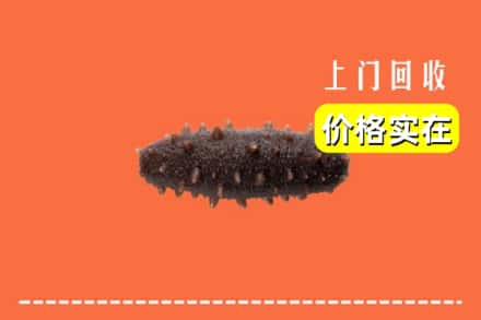 收购资讯:江城区回收海参
