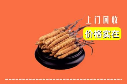 收购资讯:江城区回收冬虫夏草