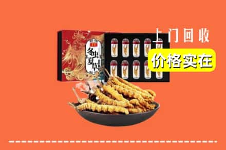 江城区回收虫草